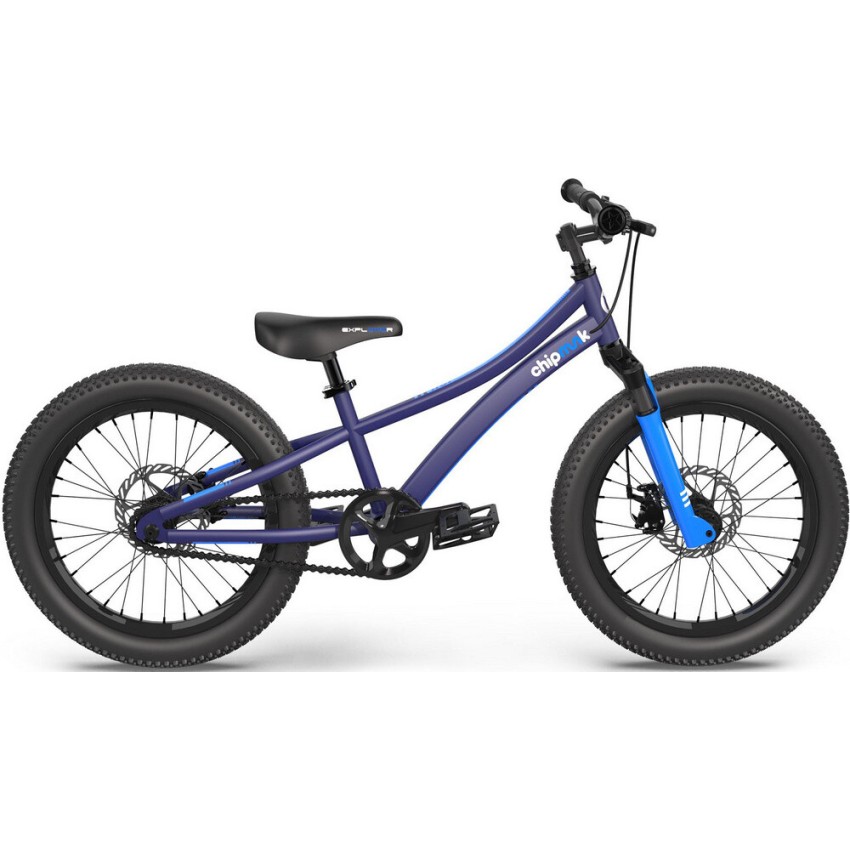 Велосипед детский RoyalBaby Chipmunk Explorer, 20", Синий