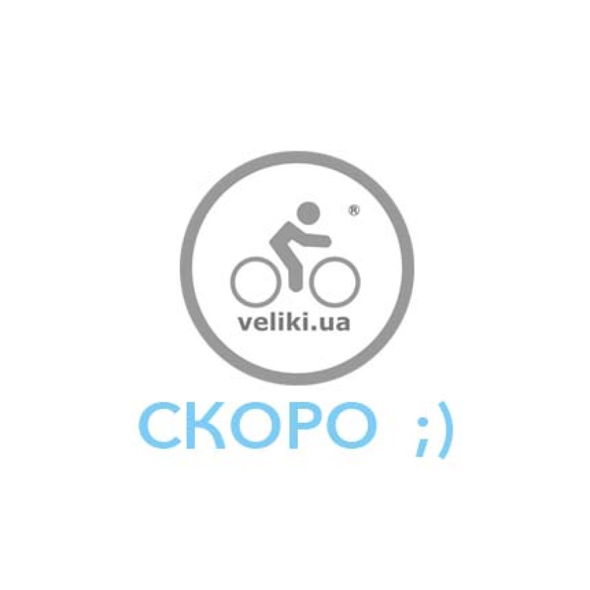 Велосипед детский RoyalBaby Chipmunk EXPLORER 16", OFFICIAL UA, черный