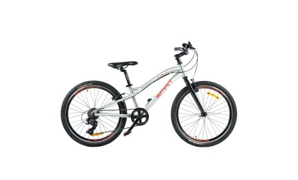 Велосипед Spirit Flash 4.1 24", рама Uni, сірий, 2021